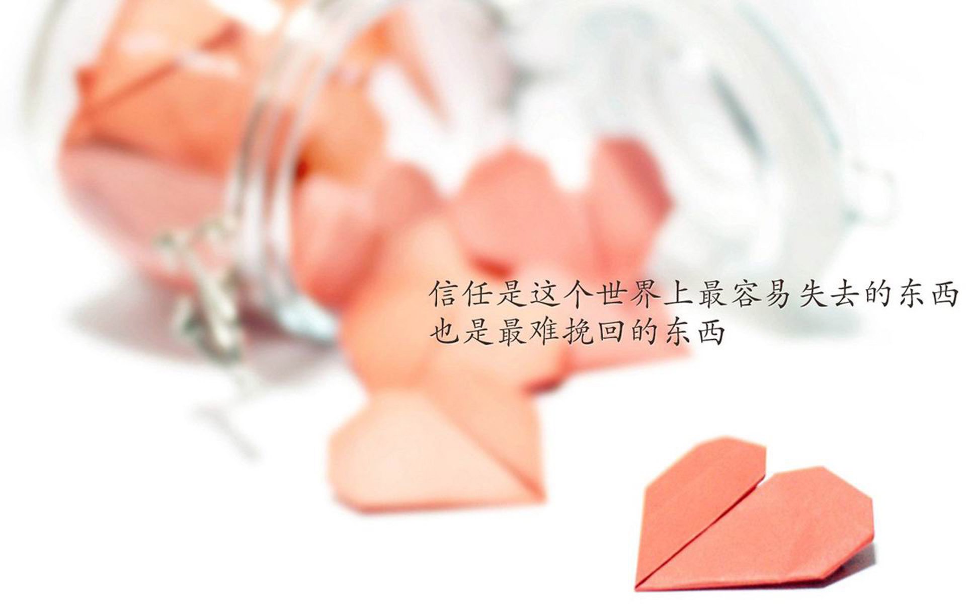kaiyun.com-赛季最感人：那些动人心弦的球队“微故事”，感人的球迷