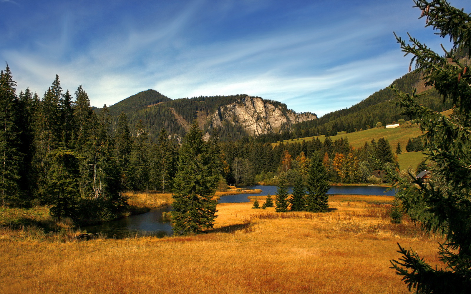 勇士主场发挥完美连续高效表现，勇士能否保持阵容的完整性 打造又一个王朝_