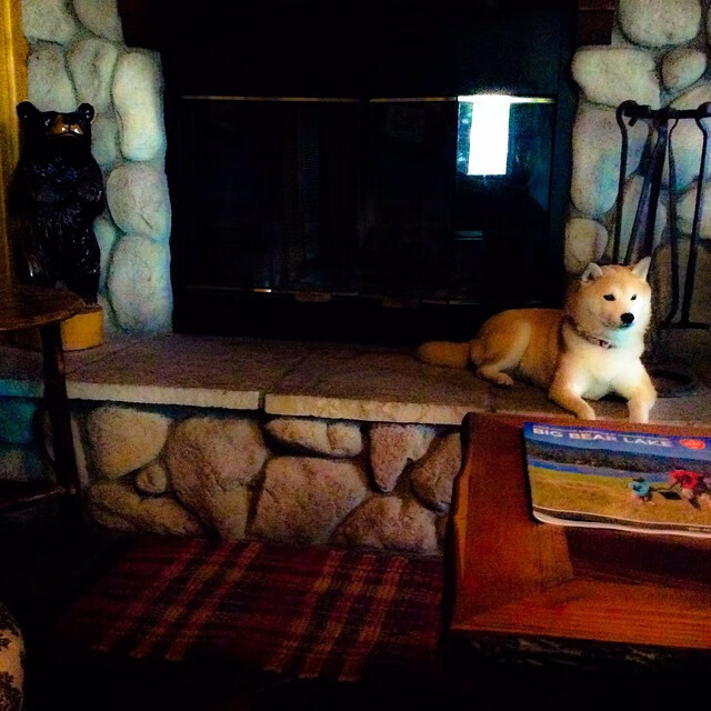 开云官方网站-北美CS_GO战队战术调整初见成效，北美csgo对战平台