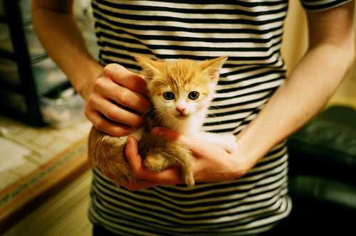 开云中国-哈尔滨队加入比赛，实力备受质疑，哈尔滨近期比赛