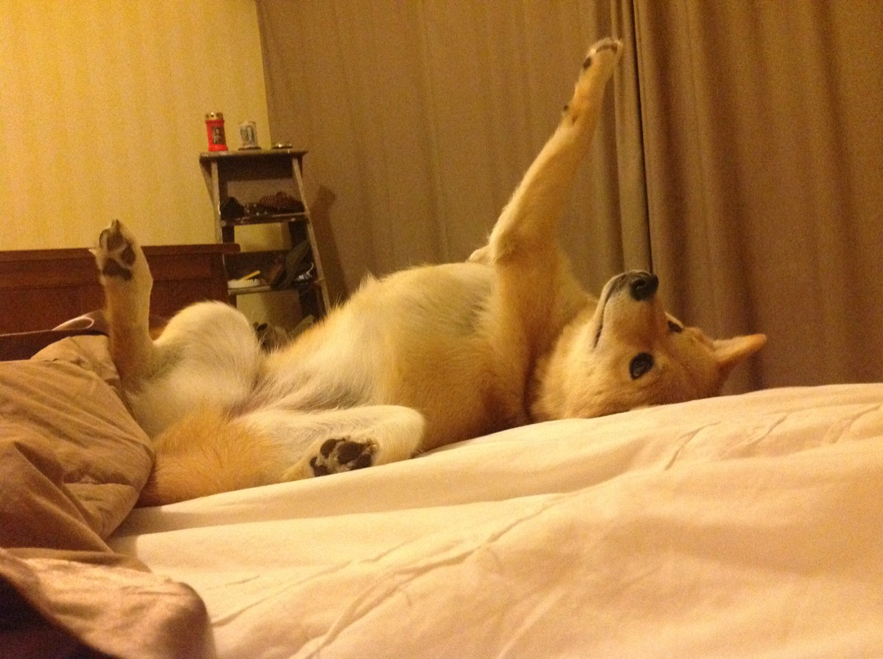 国脚平均年龄偏大是否反映人才断档问题，中国国脚年薪排名