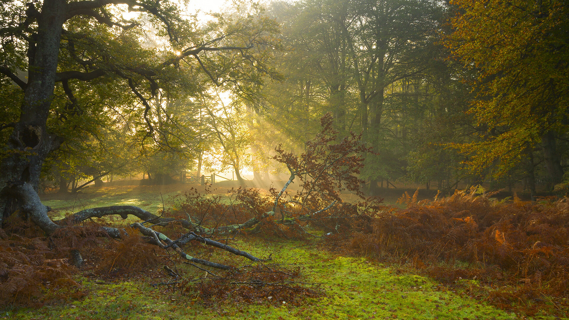开云官网-国足选手比赛路上逐梦逆袭，奋勇前行，队员国足