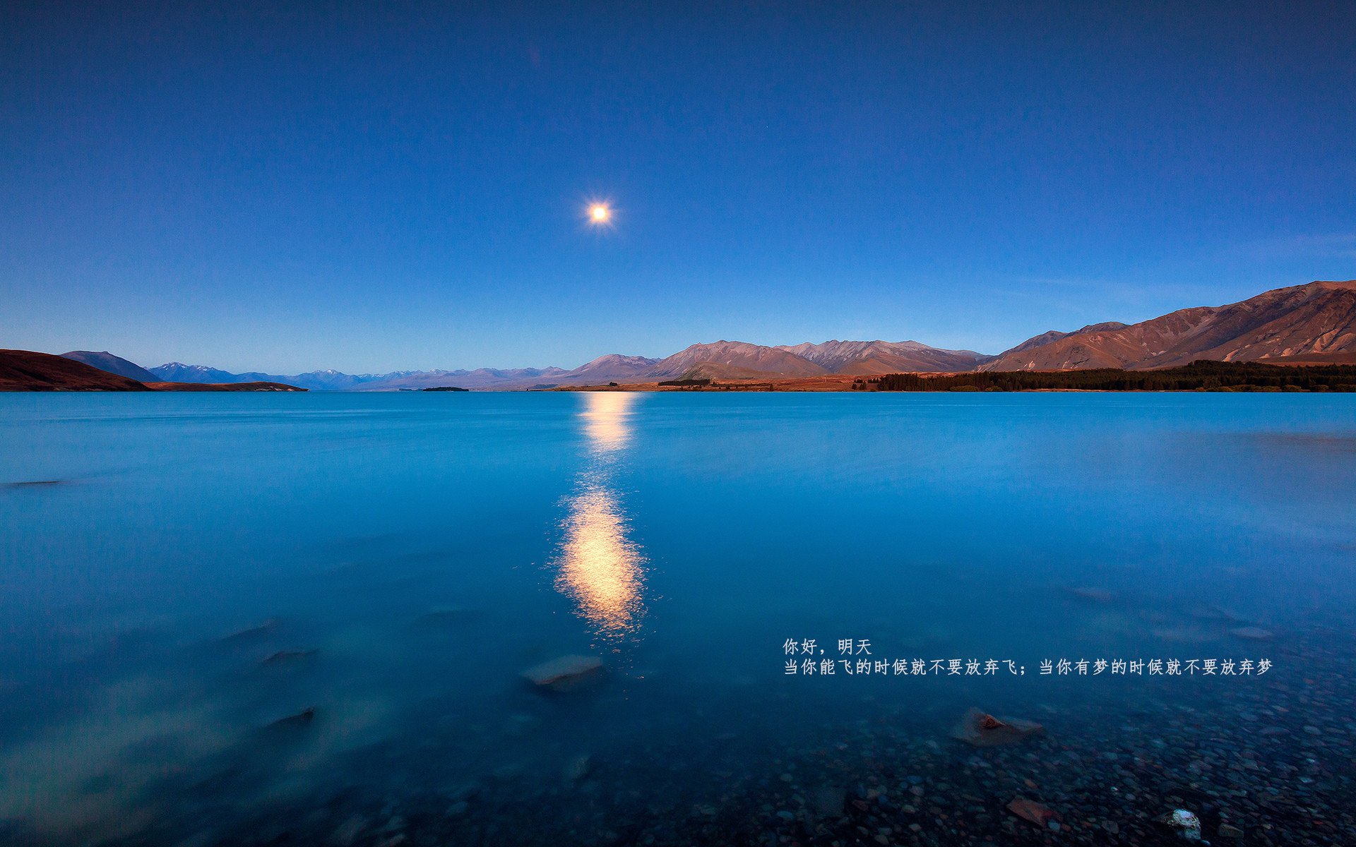 墨西哥女足未能晋级,小组赛出局,墨西哥女足比分