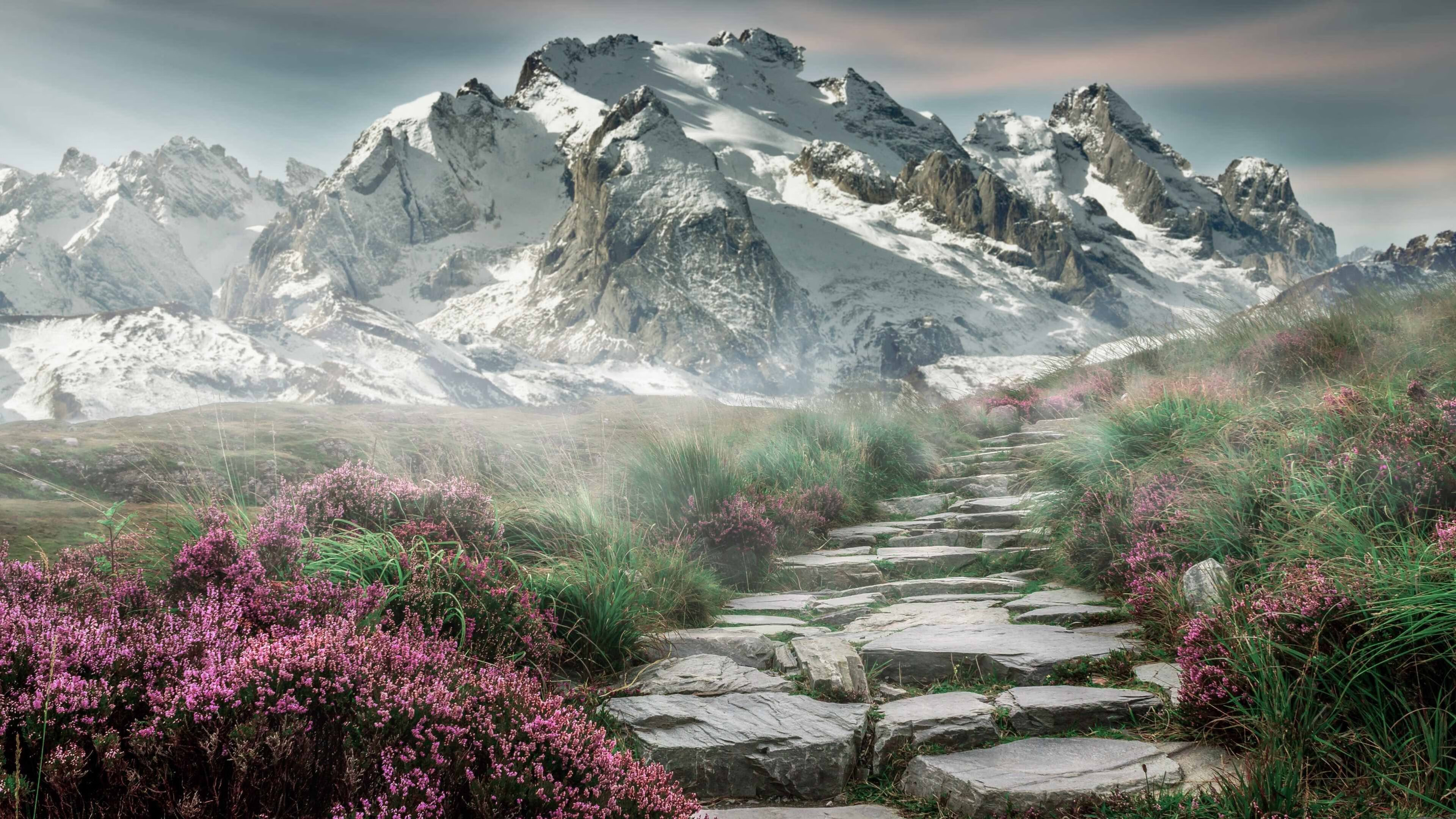 开云体育-实力强队相继晋级，欧冠争霸脉脉，欧冠战队