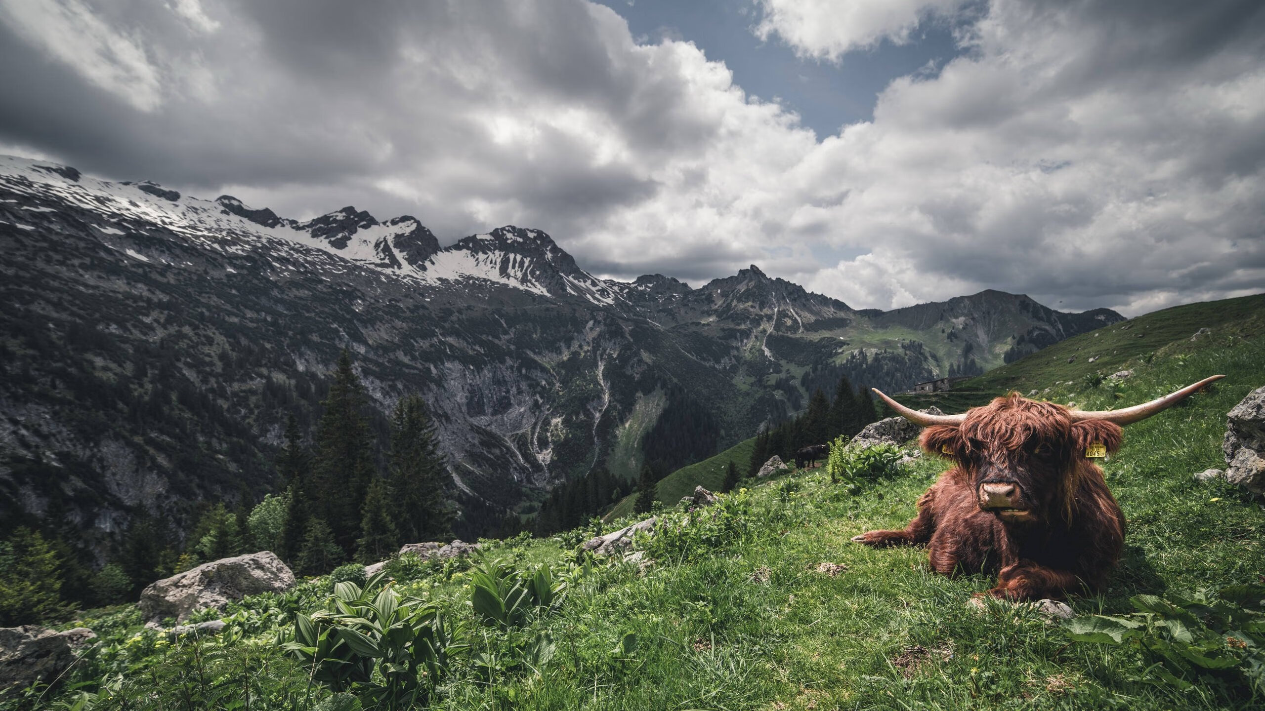 斯洛特注重防守,提升球队防守稳定性,斯洛克防守大师