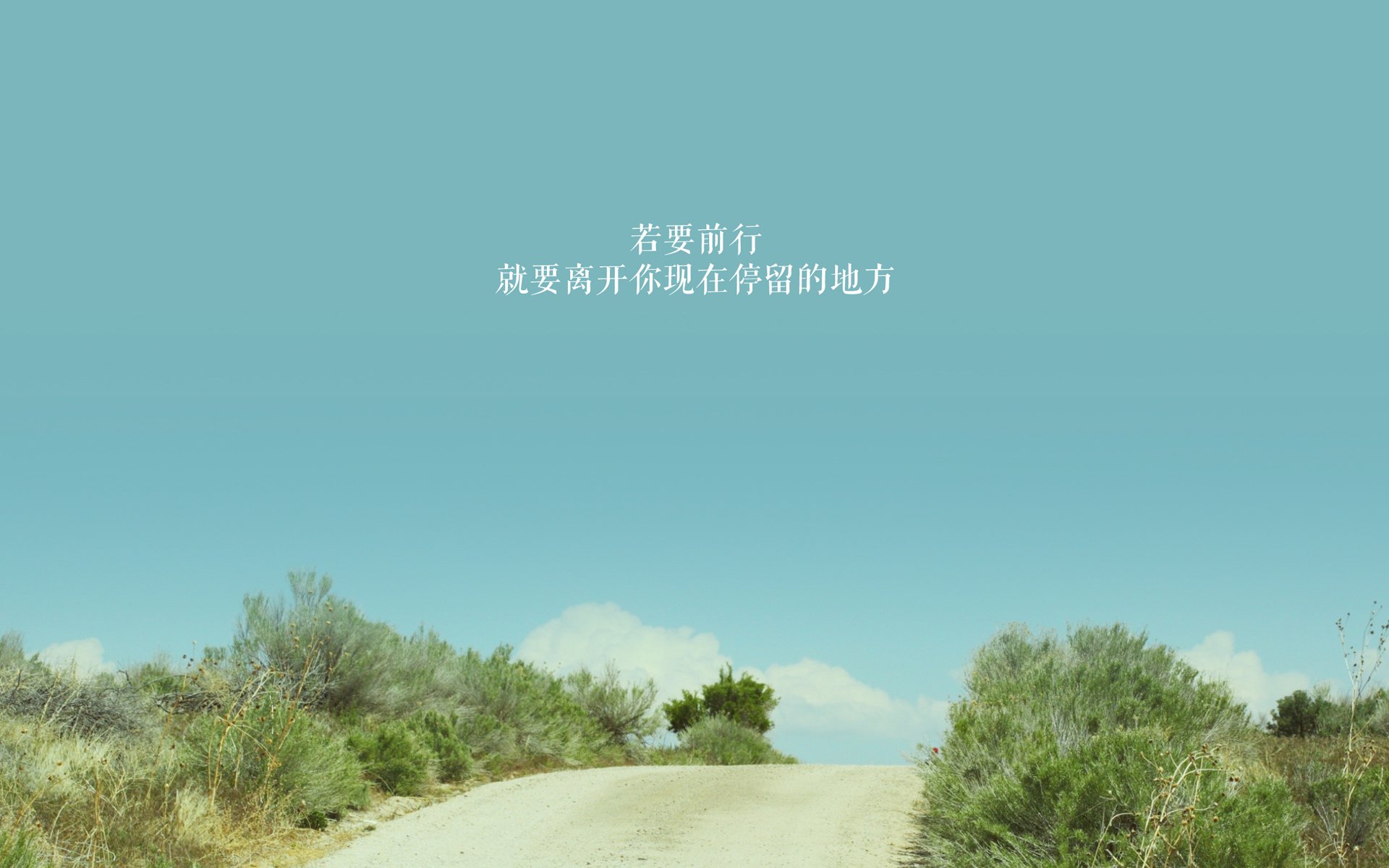 开云体育APP下载-欧国联赛资深球员表现出色，为球队贡献，欧国联球队名单