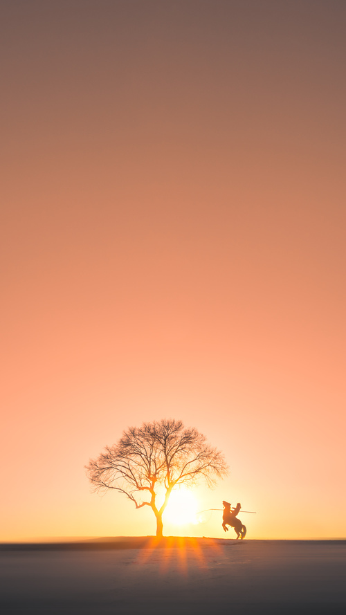 开云网站-比利·库利巴利在NBA常规赛中贡献稳定，库利巴利集锦