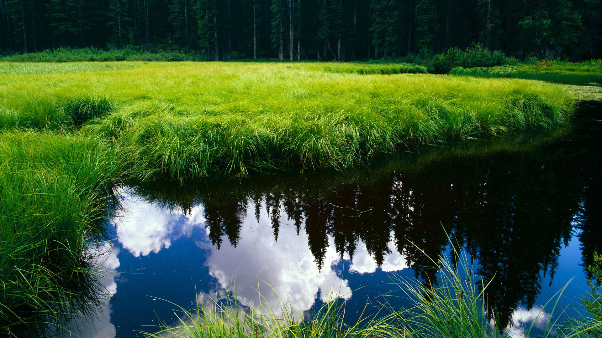 湖人主场火力全开詹姆斯统治攻防,湖人队詹姆斯nba全过程