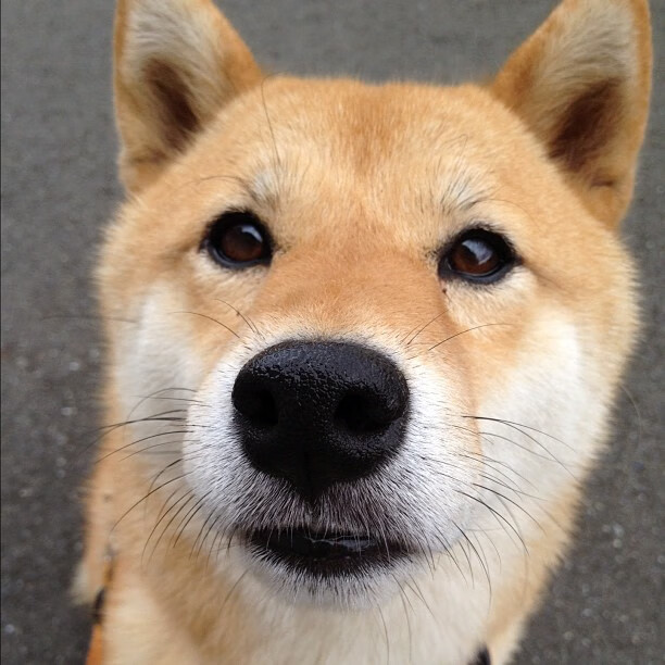 热闹CBA篮球赛即将开打，球迷热情高涨，cba2021-2022赛季热身赛