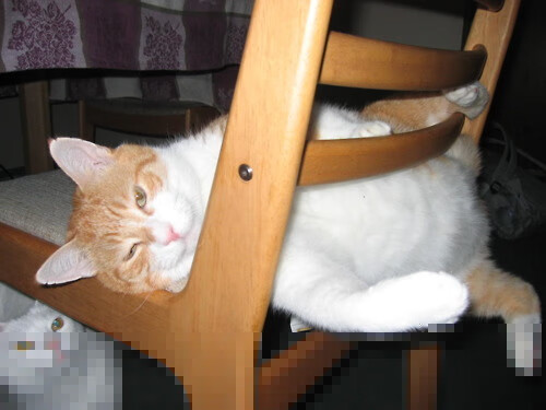 Kaiyun(中国)开云-第戎客场大胜尼斯，取得关键胜利，第戎赛道