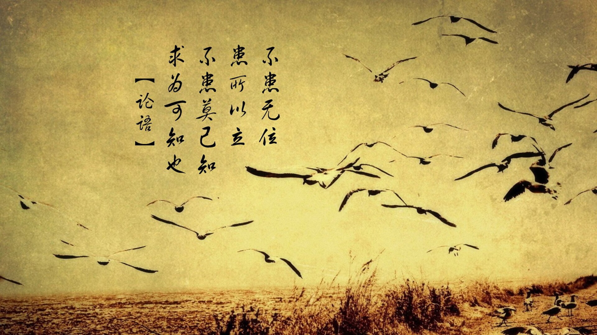 马赛签下实力后卫，马赛队门将