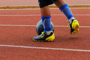 开云官方网站-NBA球员训练营最新发展动态，nba球员日常训练项目