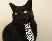 中国花游队世界赛上展示完美默契,中国花游队名单