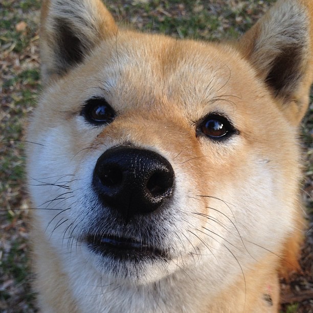 开云体育-校园体育文化建设对学生心理健康的促进机制分析，校园体育文化的功能有哪些 增强体育和健康意识