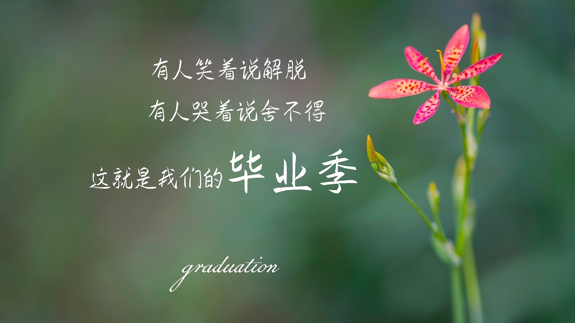 校园体育文化建设对学生心理健康的促进机制分析，校园体育文化的功能有哪些 增强体育和健康意识