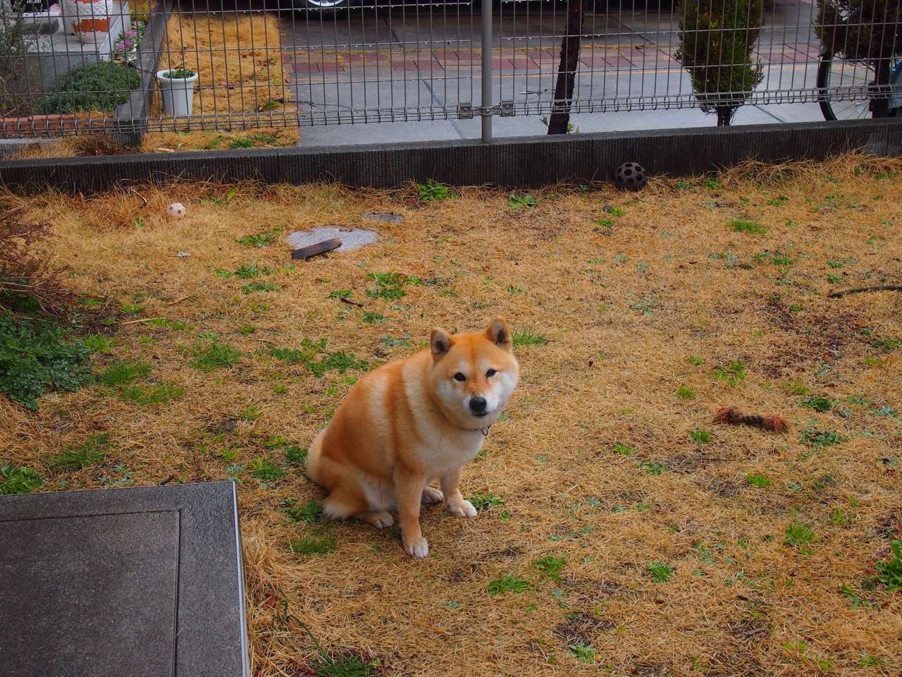 五大联赛争冠球队是否比保级球队更依赖控球节奏，五大联赛榜首