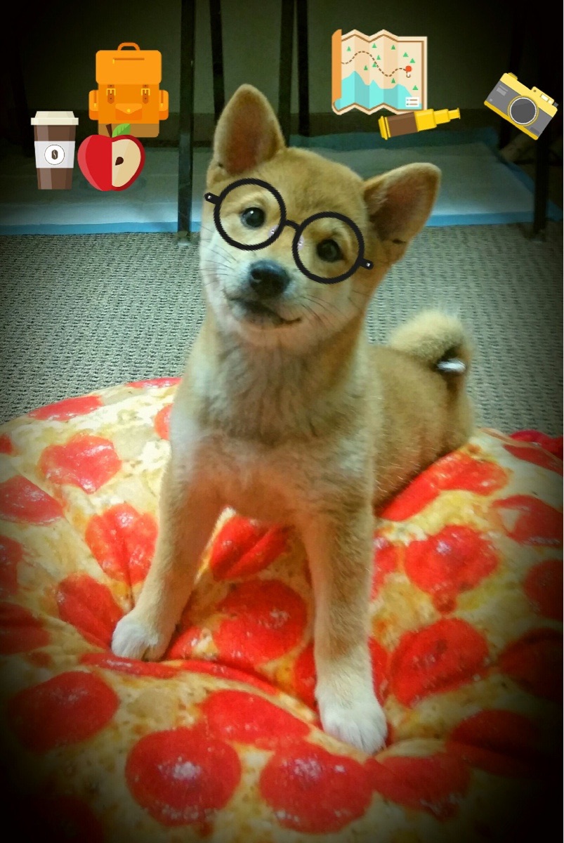 亚洲杯中国女足晋级 球迷支持声浪不断,女足亚洲杯中国队成绩