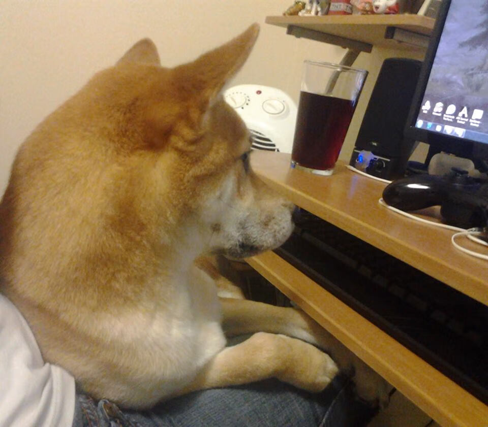 体育文化融入城市更新焕发活力,体育文化建设