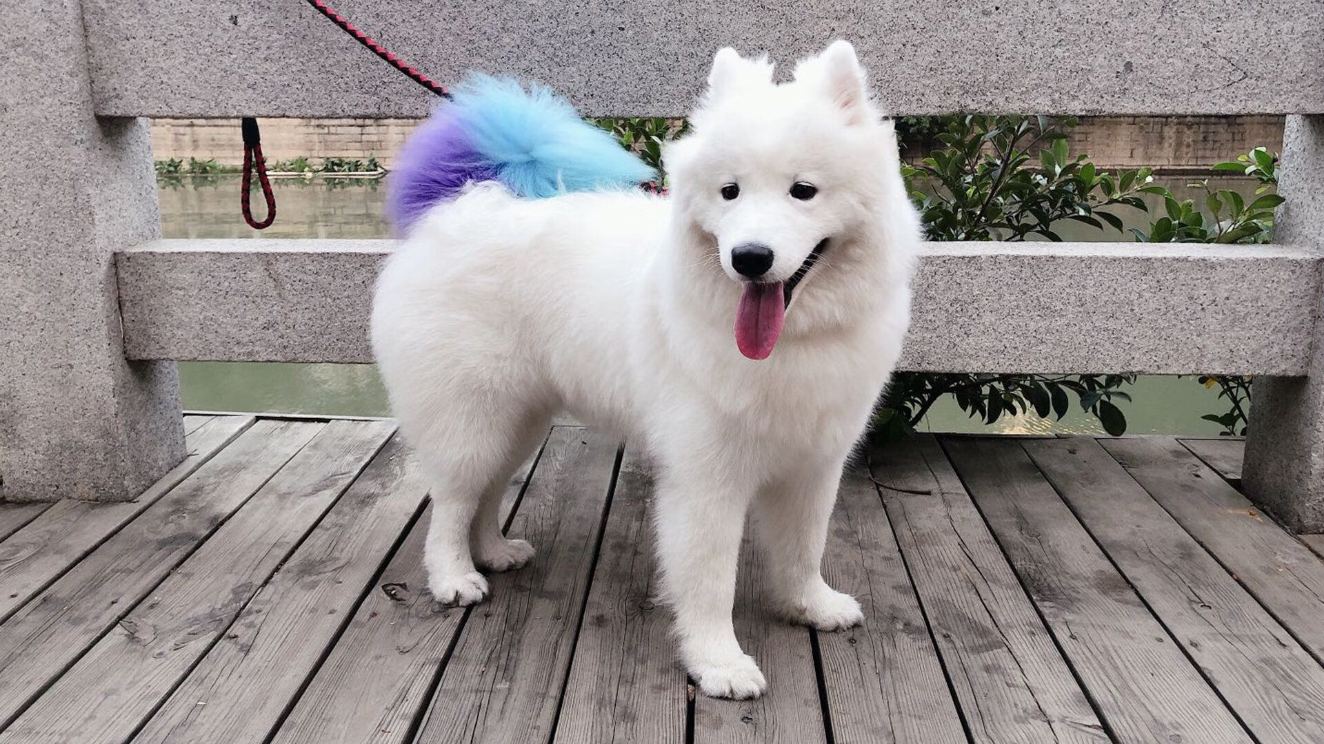 开云体育-划频稳定性成蝶泳长距离胜负关键，蝶泳划水动作