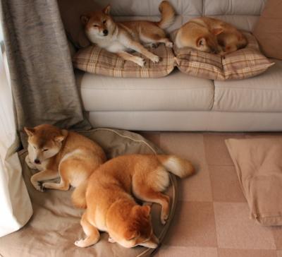 替补球员是否能快速适应比赛节奏变化,替补球员应从什么位置入场