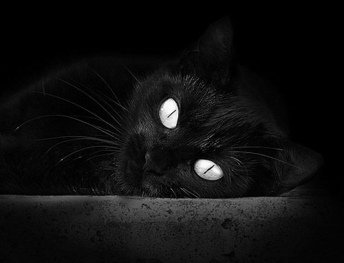 辽宁男篮连胜纪录终结教练坦言需要调整节奏,辽宁男篮战绩表