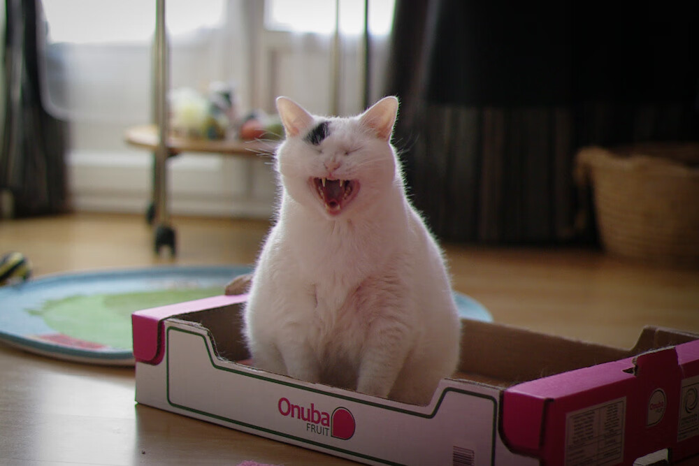 开云体育-中甲联赛增加主客场赛事氛围重回热血对抗时代，中甲什么时候恢复主客场