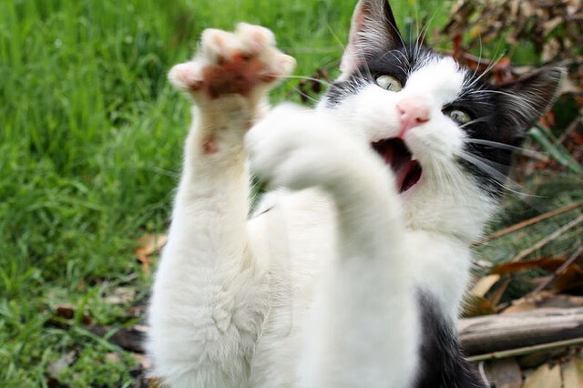 中甲联赛增加主客场赛事氛围重回热血对抗时代，中甲什么时候恢复主客场