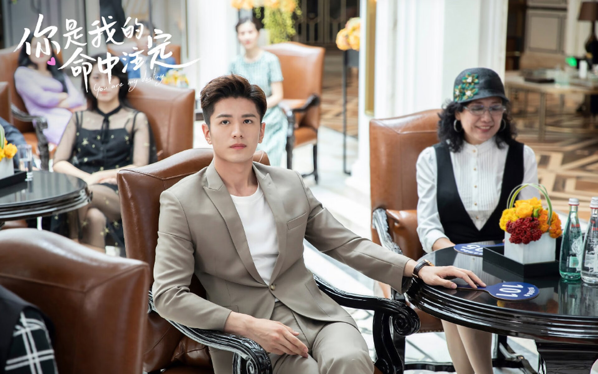 南非橄榄球赛事的全球化进程加速,未来发展潜力无穷,南非橄榄球比赛