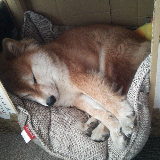 恩比德压哨绝杀七六人继续刷新纪录,恩比德带伤出战