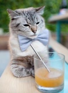 开云·Kaiyun网页版-曼联阵容调整多名年轻人获得机会，曼联队伍