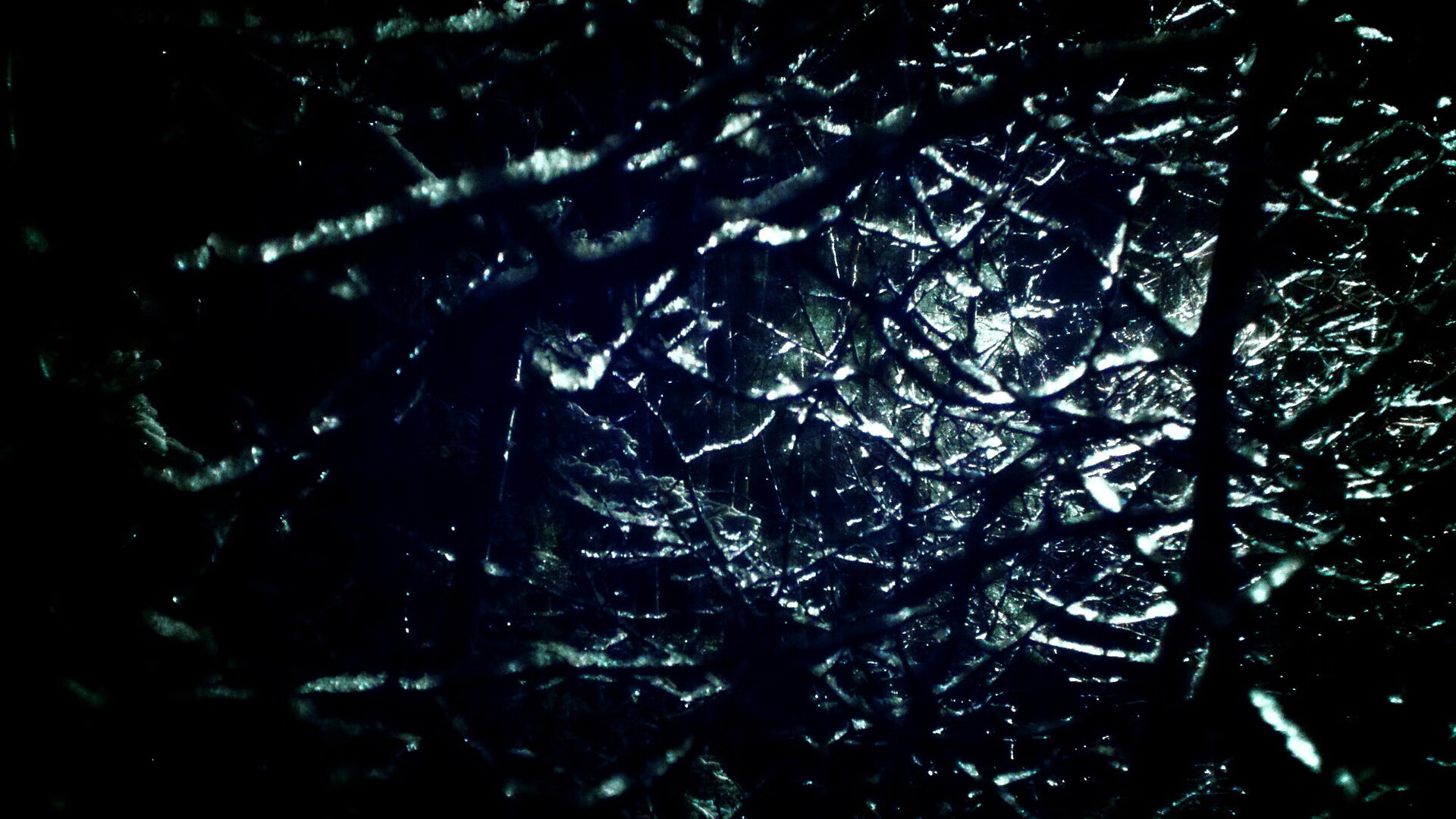 开云官方-科里·简：从年轻边锋到全黑队的经验之选，科里乐队