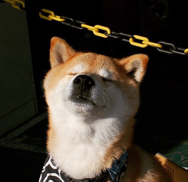 KAIYUN 中国大陆-纳米比亚男篮在非洲锦标赛中奋战，争取历史突破