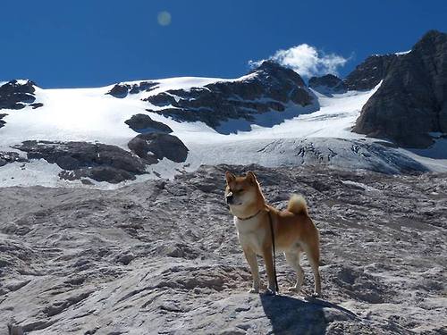 kaiyun开云·官方网站-赞比亚男篮在非洲预赛中不停奋进，冲击奥运梦幻舞台，赞比亚足球俱乐部