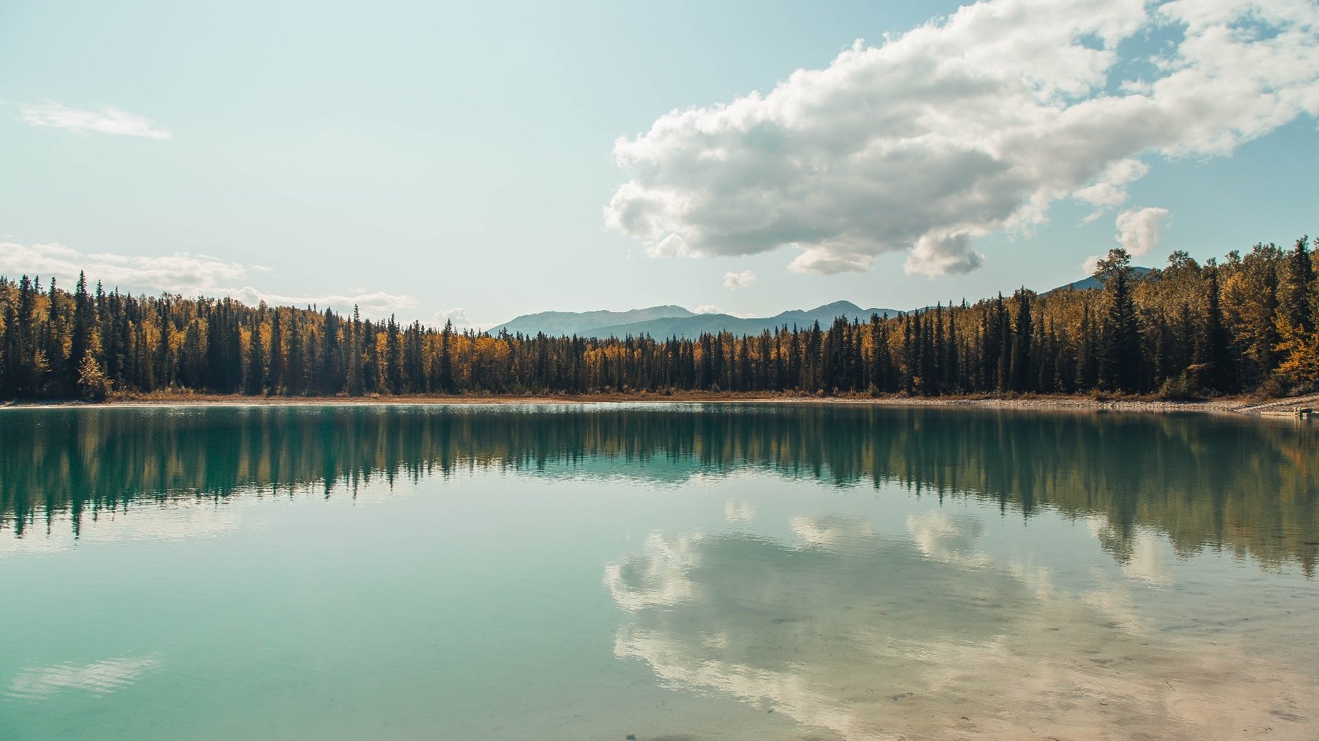 kaiyun官方入口登录-跳水动作难度升级南非挑战极限，fina 跳水